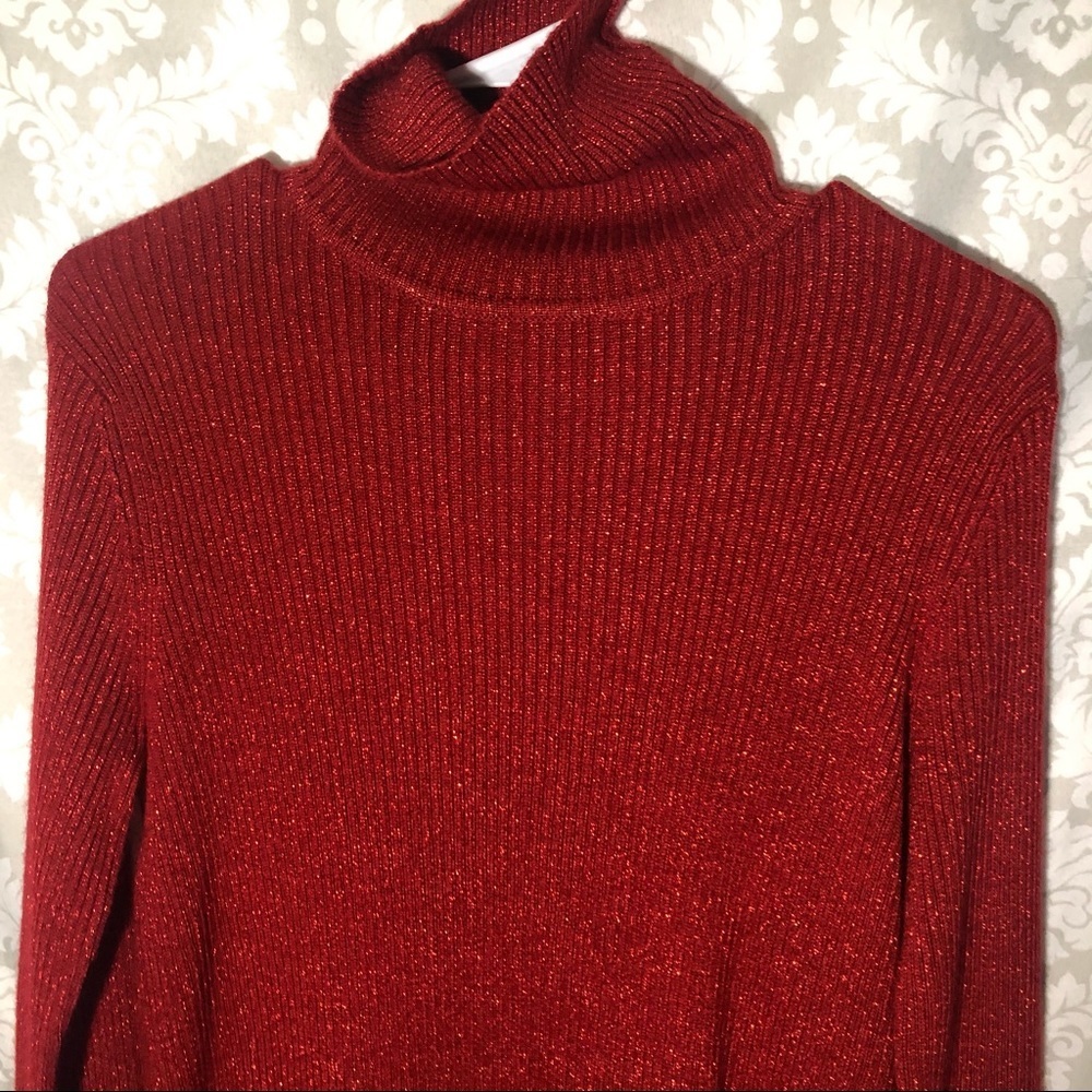 Bice Turtle Neck Sweater - Picture 6 of 8